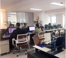 技術(shù)引領(lǐng)未來(lái)，專業(yè)鑄就卓越——XX公司技術(shù)咨詢服務(wù)簡(jiǎn)介